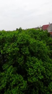 Bu büyüleyici insansız hava aracı görüntüsü sizi Polonya 'nın tarihi Gniezno şehrinde nefes kesici bir yolculuğa çıkarıyor. Görkemli Gniezno Katedrali 'nden huzurlu sokaklara ve yemyeşil parklara, bu video.