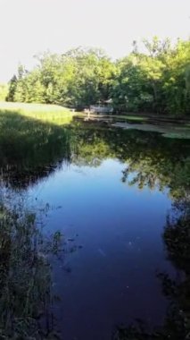 Bu ormanda bir yürüyüşün videosu. Video bir yürüyüşçünün perspektifinden çekildi ve ormanın güzelliğini gösteriyor. Video rahatlatıcı ve huzur verici, ve insanlar için mükemmel.