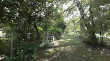 Kendinizi büyüleyici bir bahçe vahasının sükunetine bu büyüleyici videoyla daldırın. Kameramız sizi yemyeşil alanda huzurlu bir yolculuğa çıkarıyor. Orada doğanın güzelliğine tanık olacaksınız.