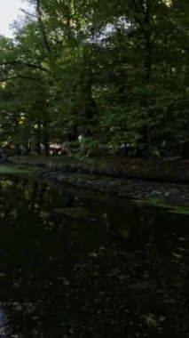 Kendinizi doğanın sükunetine bu büyüleyici videoyla daldırın. Resimli bir parkta, el değmemiş bir gölün dingin güzelliğine tanıklık edeceğiniz sanal bir gezintiye katılın.