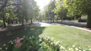 Bu büyüleyici videoyla kendinizi doğanın sükunetine bırakın, sizi sersemletici bir parkta huzurlu bir yolculuğa çıkarıyor. Parklar yemyeşil ağaçlar, serin ve serin bir gölge oluşturur.