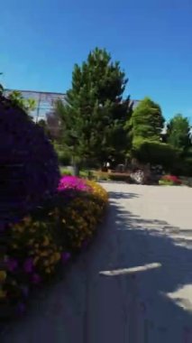 Bu video canlı çiçekler, bereketli yeşillik ve sakin su özellikleriyle dolu çarpıcı bir bahçenin sanal bir turu. Sakinleştirici atmosfer ve yumuşak arka plan müziği barışçıl ve