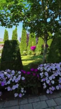 Bu video canlı çiçekler, yemyeşil yemyeşil ve sakin bir göletle dolu çarpıcı bir bahçenin sanal bir turu. Bahçe huzur ve sükunet cennetidir. Rahatlamak için mükemmel bir yerdir.