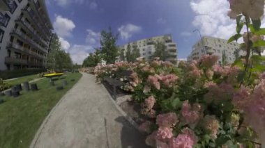 Bu güzel bir bahçede huzurlu bir yürüyüş. Video 4 K çözünürlükte ve yemyeşil, renkli çiçekler ve sakin bir atmosfere sahiptir. Bu video rahatlamak için mükemmel.