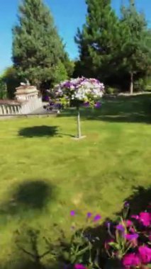 Sizi Minyatür Çiçekler Dünyası 'nda büyüleyici bir yolculuğa çıkarırken kendinizi canlı ve büyüleyici bir dünyaya daldırın. Videomuz benzersiz bir bakış açısı sunuyor.