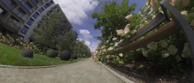 Bu video sizi canlı ortancalarla dolu güzel bir bahçede rahatlatıcı bir gezintiye çıkarıyor. Yemyeşil pembe ve beyaz çiçekler çarpıcı bir görüntü yaratır. Huzurlu atmosfer de mükemmel olur.