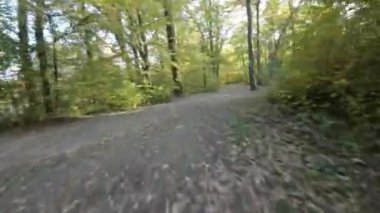 Sonbaharda parktan geçen birinci şahıs bir FPV uçağı. Video, parkta uçan bir İHA 'nın perspektifinden çekildi ve sonbahar yapraklarının benzersiz bir görüntüsünü sağlıyor. Bu video...