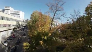 Sonbaharda parktan geçen birinci şahıs bir FPV uçağı. Video, ağaçların arasında ve binaların etrafında uçan bir dronun perspektifinden çekildi. Görüntüler yüksek çözünürlükte ve...