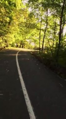 FPV 'nin güzel bir parktan birinci şahıs görüntüsü. Video, insansız hava aracının perspektifinden çekildi ve park ağaçlarının, çiçeklerin ve diğer doğal özelliklerin benzersiz bir görüntüsünü sağlıyor. Şey...