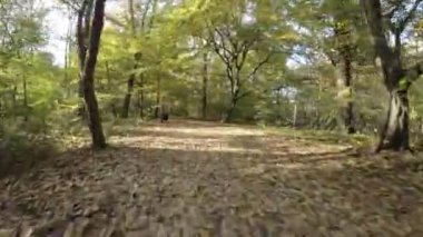 Sonbaharda parktan geçen birinci şahıs bir FPV uçağı. Video, parkta uçan bir dronun perspektifinden çekildi ve parkların birçok özelliğini eşsiz bir şekilde gösteriyor. Video.