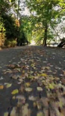 Bir FPV insansız hava aracı parkın içinden uçarak sonbahar sezonunun güzelliğini yakalıyor. İnsansız hava aracı ağaçlar ve düşen yapraklarla dolu dar yollarda uçarak eşsiz bir bakış açısı sağlar.