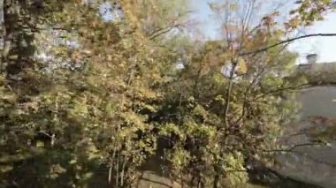 FPV 'nin renkli sonbahar ağaçları olan dar bir park geçidinde uçuşu. Video, sokakta uçan bir İHA 'nın perspektifinden çekildi ve izleyiciler ağaçları ve