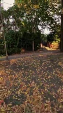 Sonbaharda bir nehir boyunca FPV insansız hava aracı uçuşu. Video, nehir boyunca uçarken, köprünün altından ve ağaçların arasından geçerken dronun perspektifinden çekildi. Su.