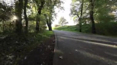 Ormanda uçan bir İHA 'nın birinci şahıs görüntüsü. Drone ağaçların arasından ve yaprakların üzerinden uçuyor. Video sabah ya da akşam çekiliyor ve güneş ışıklarını görebiliyoruz.