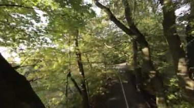 FPV 'nin ağaçların arasından uçuşu birinci şahıs görüntüsü. Video, ormanda uçan bir dronun perspektifinden çekildi. İnsansız hava aracı ağaçların arasından uçar ve izleyiciler ağaçları görebilirler.