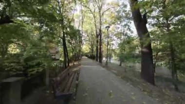 FPV 'nin ağaçlar ve düşen yapraklarla dolu dar bir park alanında uçuşu. Sokak yemyeşil yapraklı uzun ağaçlarla çevrili. Yer düşen yapraklarla kaplı. Şey...