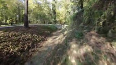 Birinci şahıs görüşlü bir FPV İHA dar bir orman yolunda uçuyor. Drone ağaçlar arasındaki dar patikadan uçuyor. Ağaçlar uzundur ve birçok dalları vardır. Ağaçlardaki yapraklar...