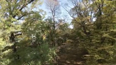 Kendinizi doğanın sakinliğine bırakın ve yeni klibimiz 