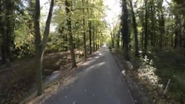 FPV 'nin ağaçlar ve düşen yapraklarla dolu dar bir park alanında uçuşu. Sokak yemyeşil yapraklı uzun ağaçlarla çevrili. Yer düşen yapraklarla kaplı. Güneş.