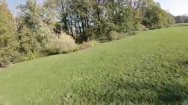 Bu FPV uçuşu sizi yemyeşil ağaçları ve asfalt yolu olan güzel bir parka götürüyor. Video yüksek çözünürlüklü çekiliyor ve parkın çarpıcı bir hava görüntüsünü sağlıyor. Uçuş saat 10 'da.