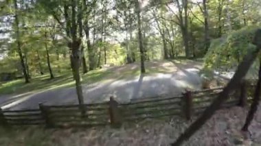 FPV 'nin ormanda uçuşu birinci şahıs görüntüsü. Video, ağaçların arasından uçan bir dronun perspektifinden çekildi. İnsansız hava aracı çeşitli ağaçların arasından uçuyor. Yaprak döken de dahil.