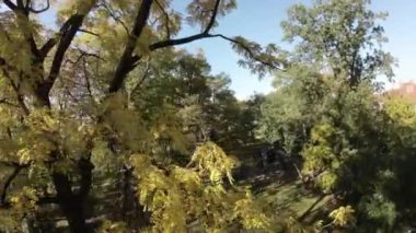 Bu FPV insansız hava aracı videosunda canlı bir sonbahar ormanında uçmanın heyecanını yaşayın. İHA 'nın ağaçların arasından zikzak çizişini izleyin. Renkli yaprakların ve yemyeşil yaprakların çarpıcı görüntülerini yakalayın.