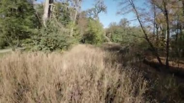 Video bir parkın görüntüsüyle başlıyor. Kamera sağa dönüyor ve bir gölet ortaya çıkıyor. Gölet ağaçlar ve çalılarla çevrilidir. Su sakin ve hareketsiz. Yüzeyde birkaç yaprak yüzer. Şey...