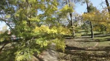 Bu FPV uçuşunda sonbaharın canlı güzelliğini görkemli bir parkta yaşayın. Yeşillik ağaçlar sıcak renklerle süslenerek göz kamaştırıcı bir görsel ekran oluştururlar. Nazikçe