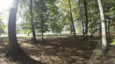 Kendinizi doğanın huzurlu güzelliğine büyüleyici videomuzla daldırın, 