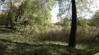 Bu, dingin bir göl ve yemyeşil bir ormanın 4K doğa videosu. Video çok rahatlatıcı ve huzur verici ve rahatlama ya da meditasyon için mükemmel. Video çarpıcı çekimler içeriyor.