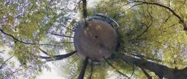 Video, sonbaharda bir ormanın küçük bir gezegen görüntüsü. Kamera yere yerleştirilir ve yavaşça döner, ağaçların güzel sonbahar renklerini yakalar. Video 4K çözünürlükte ve