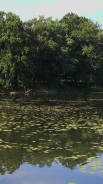 Nilüferli güzel göl