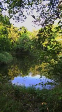 Nehir kenarındaki güzel ev Yeşillikte saklı
