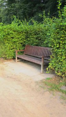 Parktaki çalıların arasında ahşap bir bank