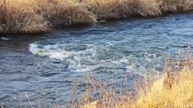Vahşi bir nehirde kayalar.