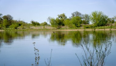 Bir ördeğin uçtuğu sakin sularıyla bir nehir..