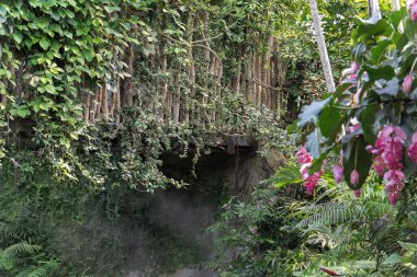 Küçük ahşap bir köprü tropikal ormanın derinliklerinde bir dere boyunca uzanır. Etrafı yemyeşil, sarmaşıklar ve nemli bitki örtüsüyle çevrili. Macera ve mahremiyet ortamı yaratıyor..