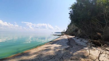 Etrafı yeşilliklerle çevrili bir sahilin dikey görüntüsü ve parlak mavi bir gökyüzünün altında sakin bir göl.