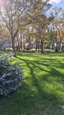 Parkın güzel manzarası