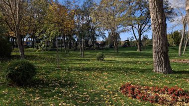 Parkın güzel manzarası