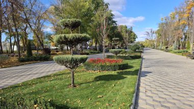 Parkın güzel manzarası