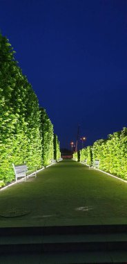 Parkın güzel şehrinin manzarası