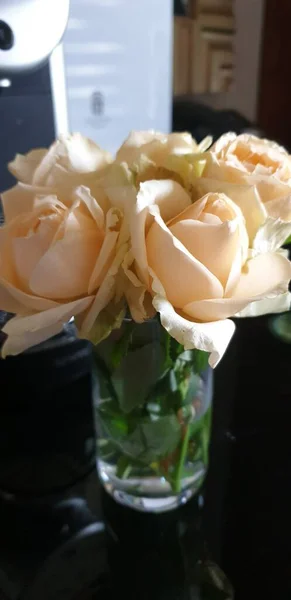 テーブルの上のガラスの花瓶に新鮮なピンクのバラの美しい花束 — ストック写真