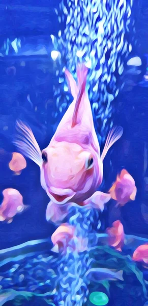 不同寻常的 有趣的 美丽的鱼与嘴唇在一个水族馆 高质量的照片 — 图库照片