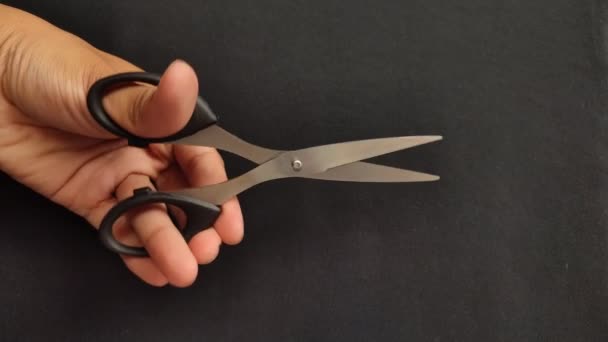 Small Black Scissors Used Cut Earwax Cotton Tip Hold Hand — Stock Video