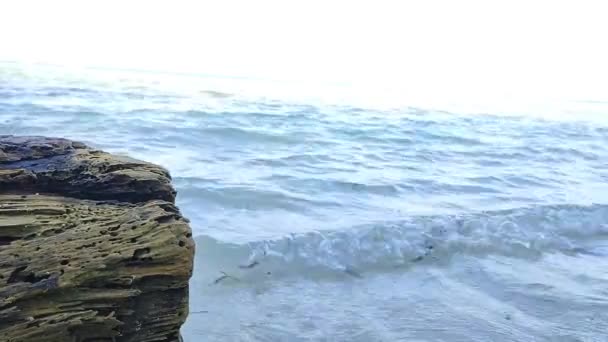 Legno Asciutto Spiagge Sabbiose Karimun Jawa Con Piccole Onde Marine — Video Stock