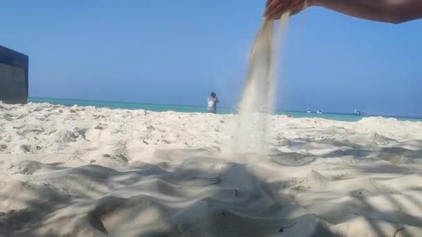 黒服を着たビーチで写真を撮るのが好きな人と一緒にビーチブリーズで吹く白い砂 — ストック動画