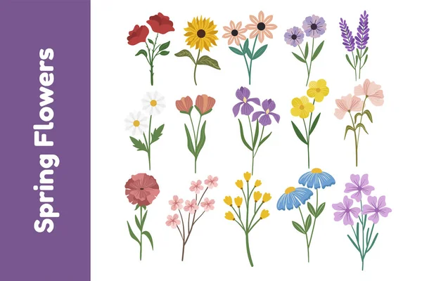 Satz Frühlingsblumen Flache Designvektorillustration — Stockvektor