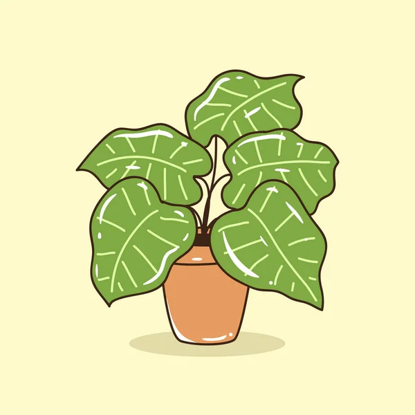 Домашнее Растение Ручной Работы Векторная Иллюстрация Зеленого Растения — стоковый вектор