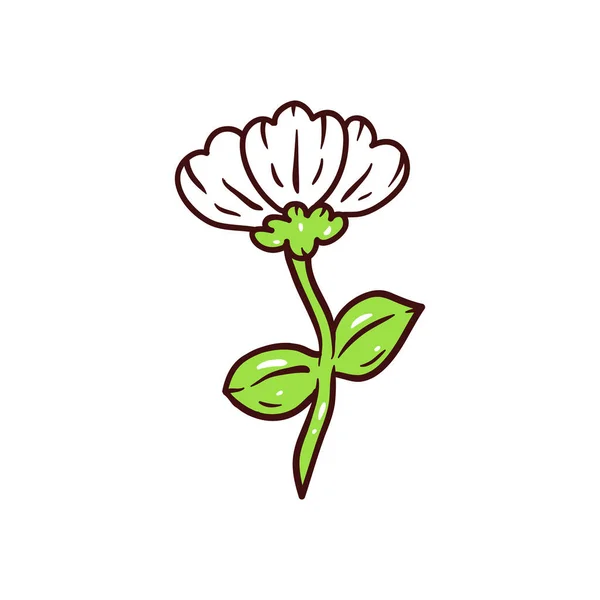 Bahar Çiçekleri Elle Çizilmiş Çiçek Süslerinin Vektör Çizimi — Stok Vektör